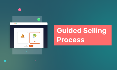 Guided Selling Process
